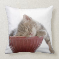 Chaton dormant dans la cuvette