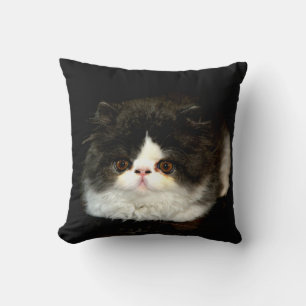 Coussin Chaton noir et blanc