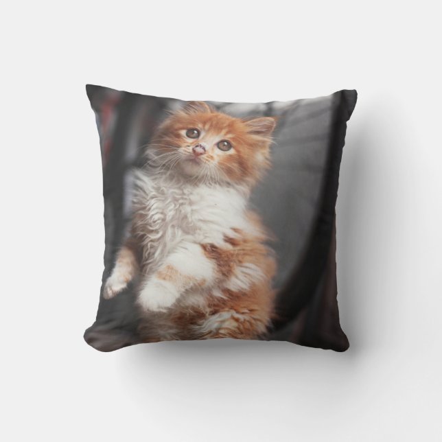 Coussin Chaton tigré orange (Recto)