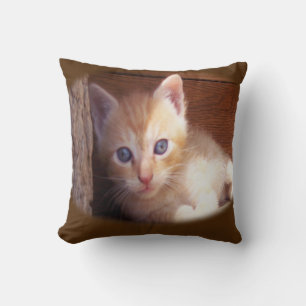Coussin Chats