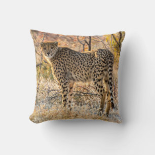 Coussin Cheetah regarde autour de lui
