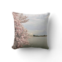 Cherry Blossoms at the Tidal Basin