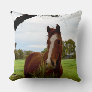 Coussin Chestnut Horse Sniffing A Banksia Tree