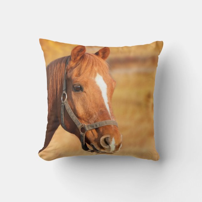 Coussin Cheval (Recto)