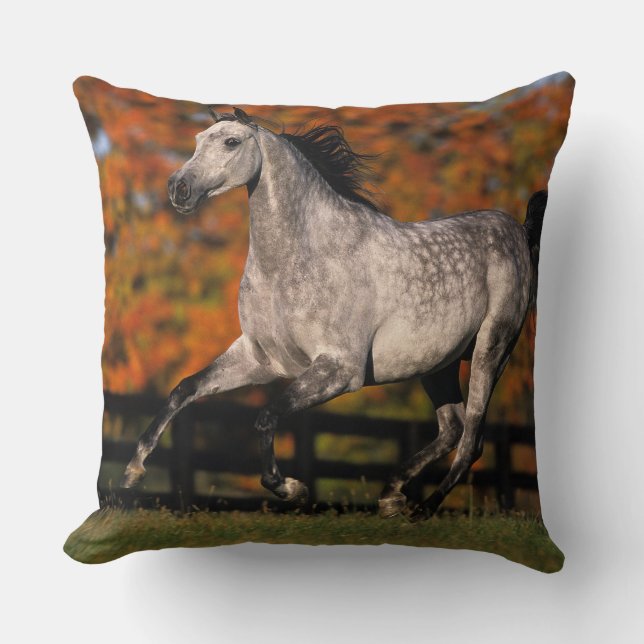 Coussin Cheval arabe : Automne 1 (Recto)