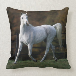 Coussin Cheval arabe courant 1