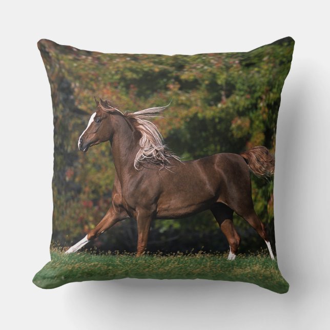 Coussin Cheval arabe fonctionnant dans le domaine herbeux (Recto)