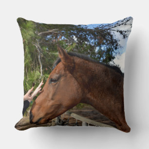 Coussin Cheval Brown Appelé Bennie Aimant Une Pat,