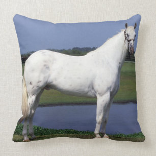 Coussin Cheval d'Appaloosa