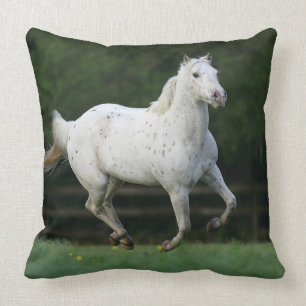 Coussin Cheval d'Appaloosa courant 1