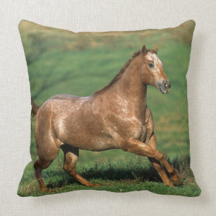 Coussin Cheval d'Appaloosa fonctionnant dans le domaine