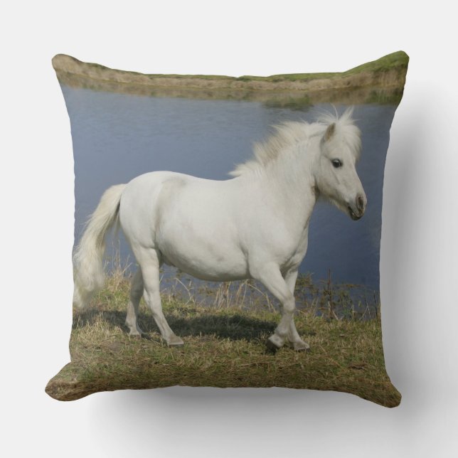 Coussin Cheval miniature fonctionnant près de l'eau (Recto)
