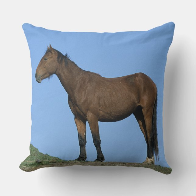 Coussin Cheval sauvage de mustang (Recto)