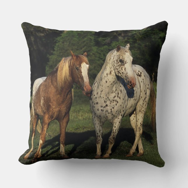 Coussin Chevaux d'Appaloosa (Recto)