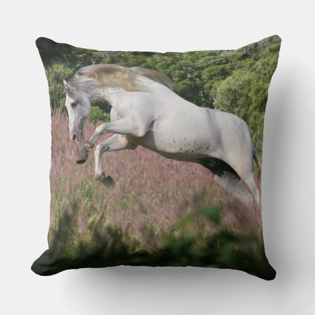 Coussin Chevaux d'imaginaire : Galop de ressort (Recto)
