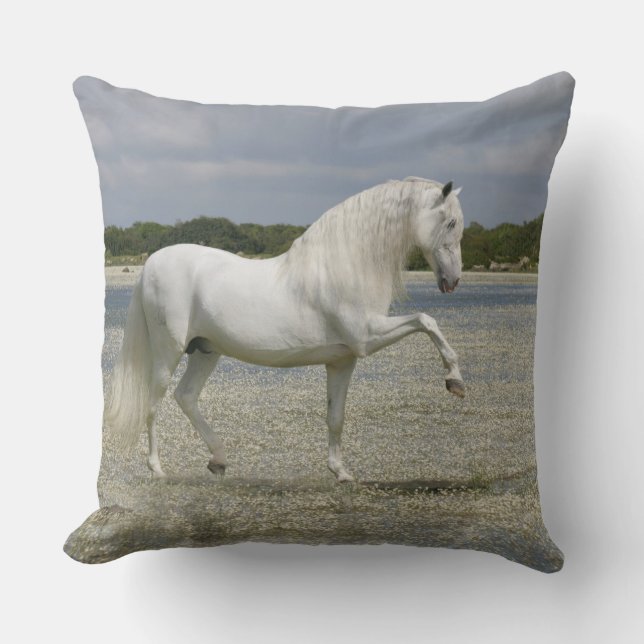 Coussin Chevaux d'imaginaire : Seigneur du lac (Recto)