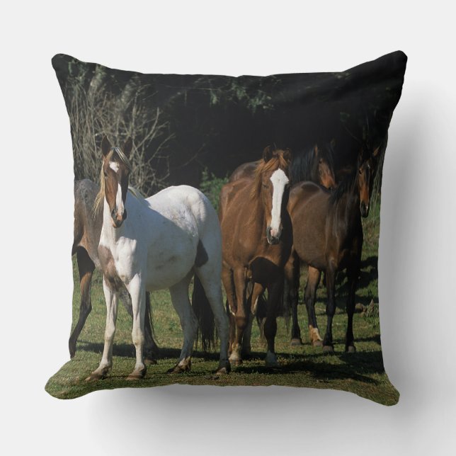 Coussin Chevaux sauvages 1 de mustang (Recto)
