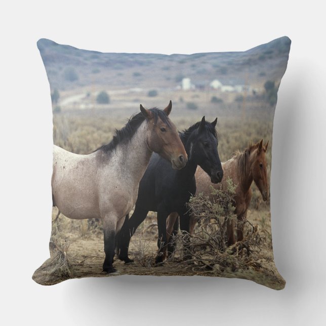 Coussin Chevaux sauvages 5 de mustang (Recto)