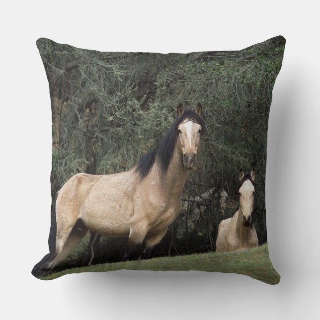 Coussin Chevaux sauvages 6 de mustang (Recto)