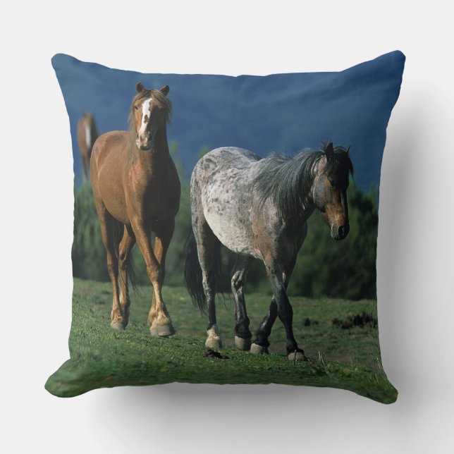 Coussin Chevaux sauvages de mustang (Recto)