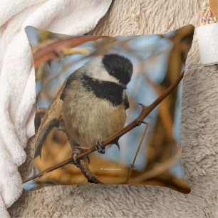 Coussin Chickadee Songbird, Joli Espérant
