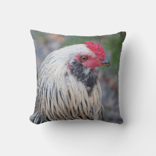 Coussin Chicken Up Close and Personal !