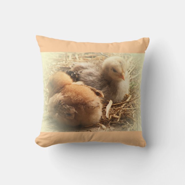 Coussin Chicken witcks feather (Recto)