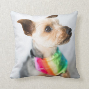 Coussin Chien arc-en-ciel Gay pride Yorkshire Terrier