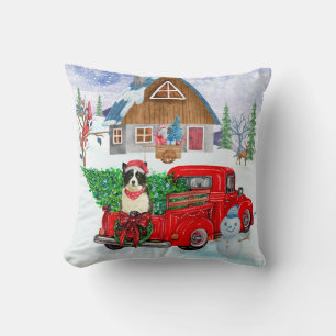 Coussin Chien Border Collie dans un camion de livraison de