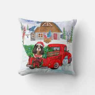 Coussin Chien Cavalier King dans un camion de livraison de