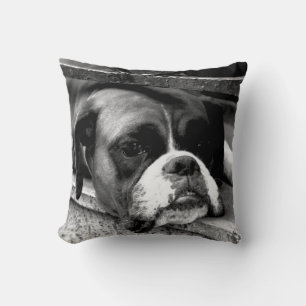 Coussin Chien de boxe sur Windows tpcnm