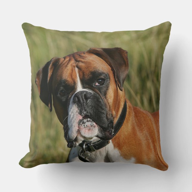 Coussin Chien de boxeur regardant fixement (Recto)