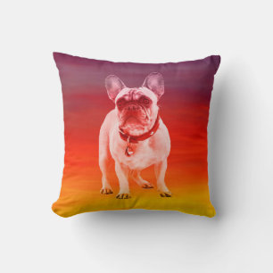 Coussin Chien De Chien À Chien Assis Sur La Plage