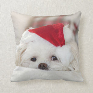 Coussin Chien de chiot maltais blanc et farci dans un chap