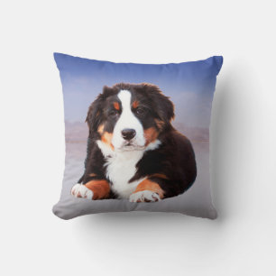Coussin Chien de Montagne bernois assis sur la plage