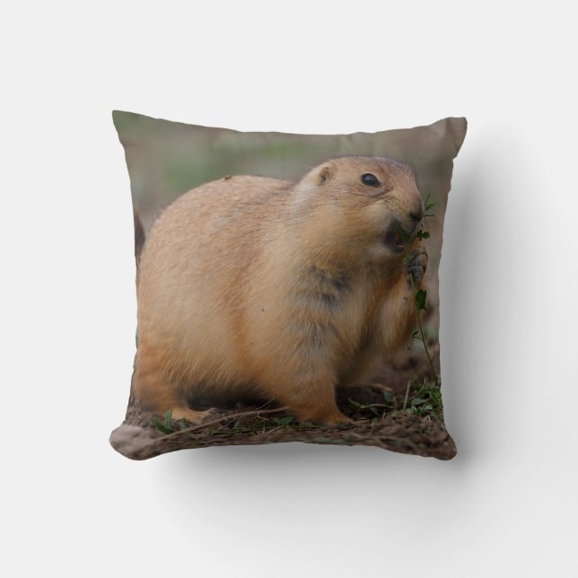 Coussin chien de prairie (Recto)