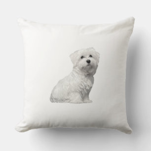 Coussin Chien maltais mignon
