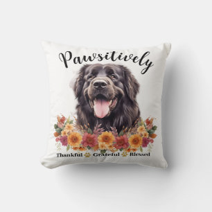Coussin Chien Mignon Absolument Reconnaissant Bienheureux