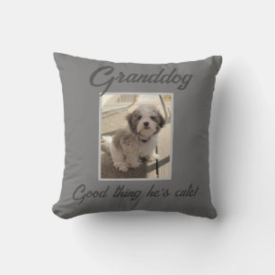 Coussin chien mignon pour grands-parents