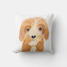 chien moelleux