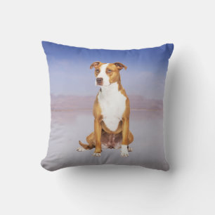 Coussin Chien Pitbull Assis Sur La Plage