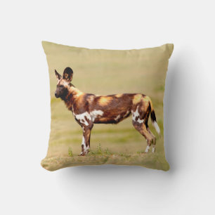 Coussin Chien sauvage africain (Lycaon Pictus) debout
