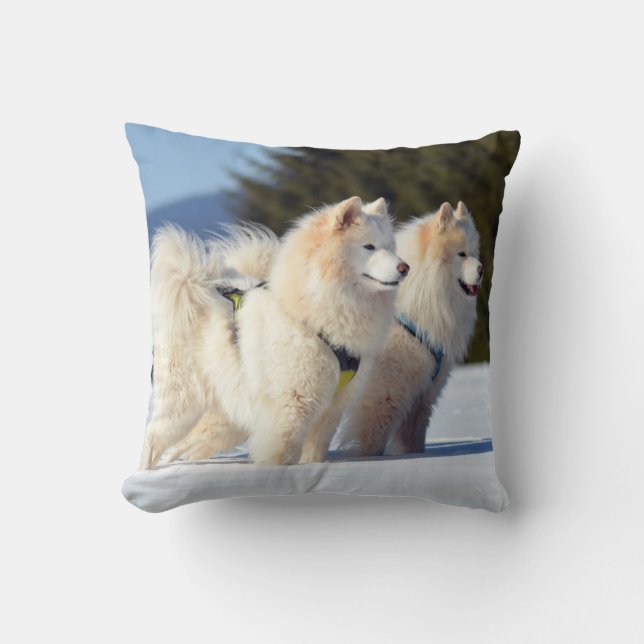 Coussin Chiens Samoyés dans la neige (Recto)