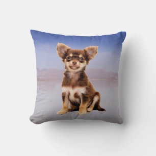 Coussin Chihuahua Chien Assis Sur La Plage