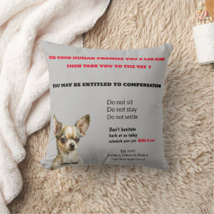 Coussin Chihuahua drôle