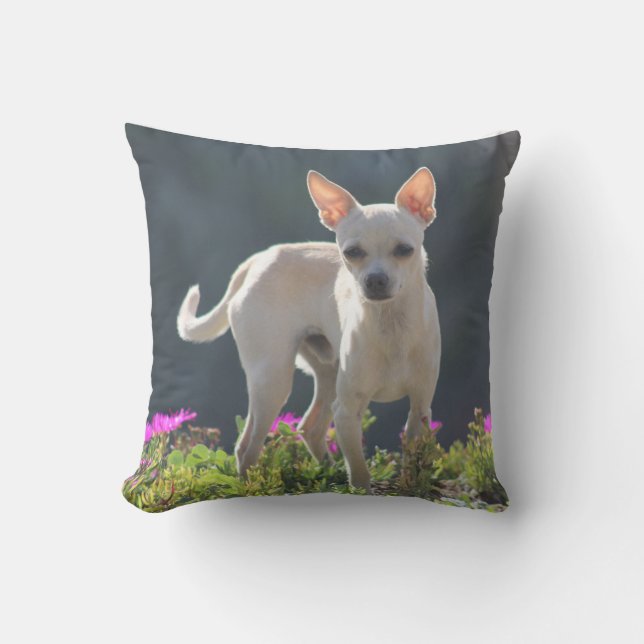 Coussin Chihuahuha mignon dans le lit de fleur (Recto)