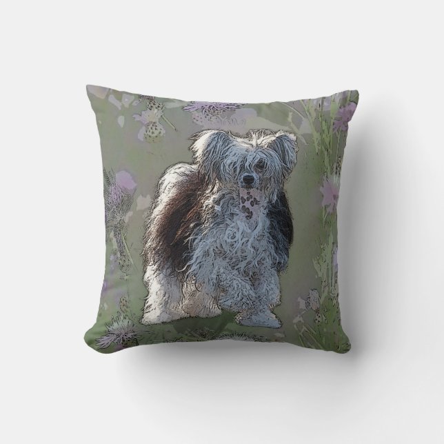coussin chinois de poudreuse (Recto)