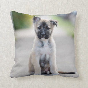 Coussin Chiot allemand sur le sentier de randonnée