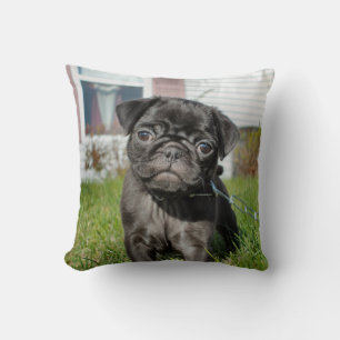 Coussin chiot carlin noir 