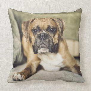 Coussin Chiot de boxeur de faon